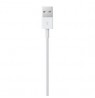 Lightning to USB Cable (0.5 m)