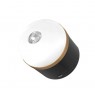 EcoFlow SCLI-B camping lantern Battery powered camping lantern USB port