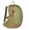 Deuter AC LITE 15 SL Sprout-Linden hiking backpack