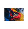 Gregory Targhee 32 skydiving backpack - LAVA RED (M)