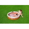 Bestway 51144 kiddie pool Inflatable pool