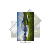 Dell P3225QE | 32 " | IPS | 4K UHD | 16:9 | 100 Hz | 5 ms | 3840 x 2160 pixels | 350 cd/m² | HDMI ports quantity 1