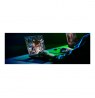 Razer Blade 16 | Black | 16 " | OLED | QHD+ | 2560 x 1600 pixels | 240 Hz | AMD Ryzen AI 9 | HX 370 | 32 GB | LPDDR5X | Solid-st