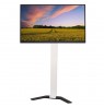 Slim TV LCD/LED Floor Stand 32-70 INCH 40KG Adjustable