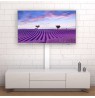 Slim TV LCD/LED Floor Stand 32-70 INCH 40KG Adjustable