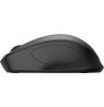 HP 285 Silent Wireless Mouse