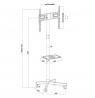 Maclean MC-949 TV Cart, Stand, Professional,32-55", on Casters, max. VESA 400x400, max. 25kg