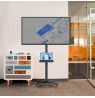 Maclean MC-949 TV Cart, Stand, Professional,32-55", on Casters, max. VESA 400x400, max. 25kg