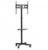 Maclean MC-949 TV Cart, Stand, Professional,32-55", on Casters, max. VESA 400x400, max. 25kg