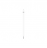 Apple | Pencil (1st Generation)