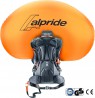 Avalanche backpack - Deuter Alproof 32