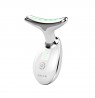 ANLAN professional electric face and neck massager EMS