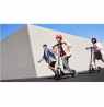 Segway eKickScooter E3 E | 800 W | Up to 25 km/h | 10 "