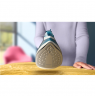 Philips Steam Iron | DST2020