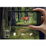Reolink Camovue Talon S130 4G LTE Trail Camera | Reolink