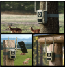 Reolink Camovue Talon S130 4G LTE Trail Camera | Reolink