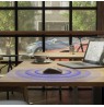 Steelseries Rival 3 Wireless mouse Gaming Right-hand RF Wireless + Bluetooth Optical 18000 DPI