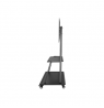 Neomounts By Newstar TV SET ACC FLOOR STAND 60-105"/NS-M4000BLACK NEOMOUNTS | Neomounts