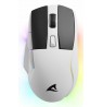 Sharkoon SGM50W mouse Gaming Right-hand RF Wireless + USB Type-A Optical 6400 DPI