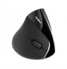 Rebel WM500 Wireless Vertical Mouse