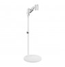 Maclean Mobile Monitor/TV Floor Stand, Gas Spring, 17"-35", 2-10kg, White, MC-970W
