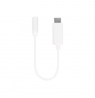 Vivanco adapter USB-C- 3,5mm 10cm (61764) | Vivanco