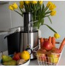 MPM MSO-18-M Juicer 1000 W Black, Silver