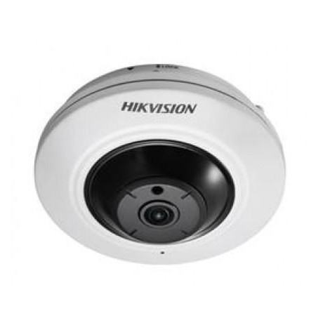 HIKVISION IP Camera DS-2CD2955G0-ISU (1.05mm) PL