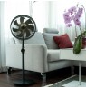 Stylies Uranus Anthracite, Bronze