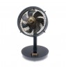 Stylies Cepheus Anthracite, Bronze