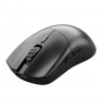 Glorious Gaming Glorious Series 2 PRO 4K/8K Hz Wireless Mouse - Black