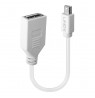 Lindy 0.20m Mini DisplayPort to DisplayPort Adapter Cable