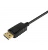 Equip      DisplayPort-daugiau HDMI        4K/ 30Hz St/St  5.00m sw Polybeutel