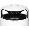 Stylies PICTORIS insect trap Mosquito trap White