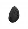 Natec Mouse Euphonie Pro BT 5.00, Wireless, Black