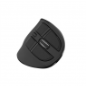 Natec Mouse Euphonie Pro BT 5.00, Wireless, Black