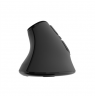 Natec Mouse Euphonie Pro BT 5.00, Wireless, Black
