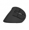 Natec Mouse Euphonie Pro BT 5.00, Wireless, Black