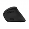 Natec Mouse Euphonie Pro BT 5.00, Wireless, Black