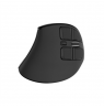 Natec Mouse Euphonie Pro BT 5.00, Wireless, Black