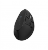 Natec Mouse Euphonie Pro BT 5.00, Wireless, Black