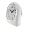 Žadintuvas ADLER ADL-PT101-1500-3 WHITE