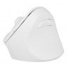 NATEC CRAKE 2 VERTICAL MOUSE WIRELESS 2400DPI BLUETOOTH 5.2 + 2.4GHZ WHITE