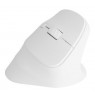 NATEC CRAKE 2 VERTICAL MOUSE WIRELESS 2400DPI BLUETOOTH 5.2 + 2.4GHZ WHITE