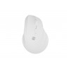 NATEC CRAKE 2 VERTICAL MOUSE WIRELESS 2400DPI BLUETOOTH 5.2 + 2.4GHZ WHITE