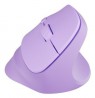 NATEC Crake 2 mouse Universal Right-hand RF Wireless + Bluetooth Optical 2400 DPI