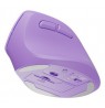 NATEC Crake 2 mouse Universal Right-hand RF Wireless + Bluetooth Optical 2400 DPI