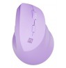NATEC Crake 2 mouse Universal Right-hand RF Wireless + Bluetooth Optical 2400 DPI