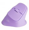 NATEC Crake 2 mouse Universal Right-hand RF Wireless + Bluetooth Optical 2400 DPI