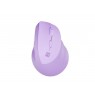 NATEC Crake 2 mouse Universal Right-hand RF Wireless + Bluetooth Optical 2400 DPI